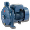 Pedrolo Surface Pump 2hp